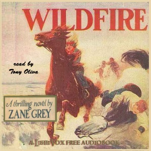 Wildfire - Zane Grey