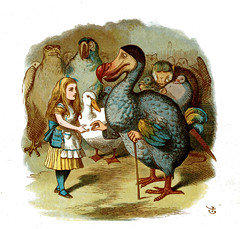 Alice in Wonderland Chapter 3 - Alice in Wonderland