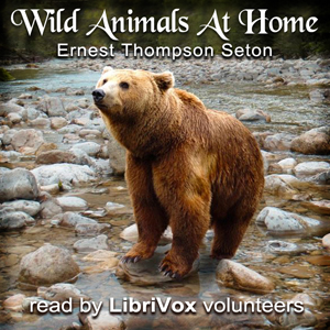 Wild Animals At Home - Ernest Thompson Seton