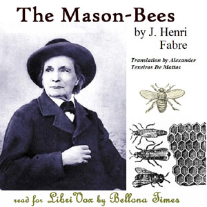 The Mason-Bees - Jean-Henri FABRE
