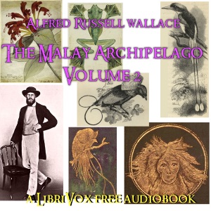 The Malay Archipelago, Vol. 2 - Alfred Russel WALLACE