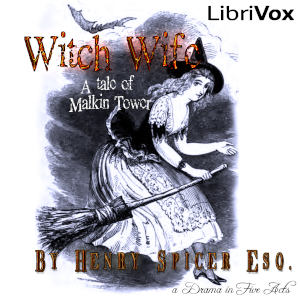 The Witch-Wife - Henry Spicer
