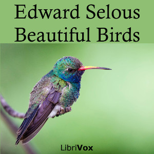 Beautiful Birds - Edmund Selous
