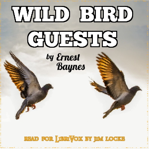 Wild Bird Guests - Ernest Baynes