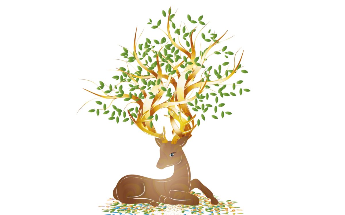 Katie and the Magical Deer - Bertie Stories