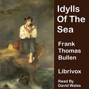 Idylls Of The Sea And Other Marine Sketches - Frank Thomas Bullen