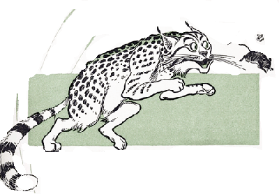 Chapter 9, Wizard of Oz - The Wizard of Oz by L. Frank Baum