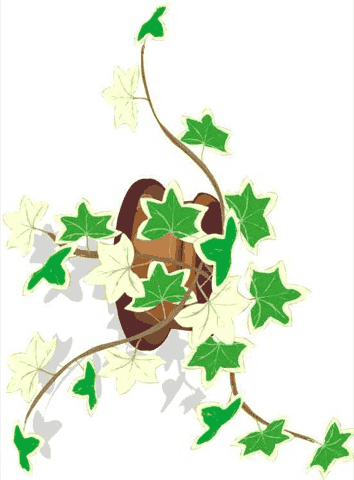 The Secret Garden Chapter 5 - The Secret Garden