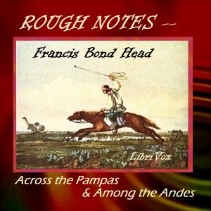 Rough Notes Taken During Some Rapid Journeys Across the Pampas and Among the Andes - Francis Bond HEAD