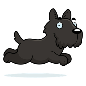 Wicked Uncle’s Lost Dog - Wicked Uncle