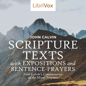 Scripture Texts with Expositions and Sentence-prayers from Calvin's Commentaries on the Minor Prophets - John Calvin