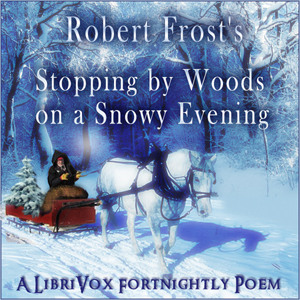 Stopping by Woods on a Snowy Evening - Robert Frost