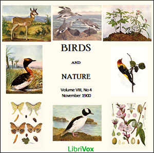 Birds and Nature, Vol. VIII, No 4, November 1900 - Various