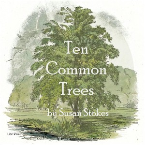 Ten Common Trees - Susan STOKES