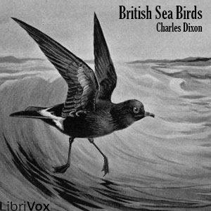 British Sea Birds - Charles DIXON