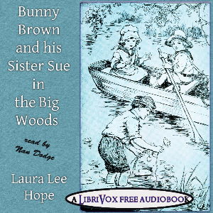 Bunny Brown and His Sister Sue in the Big Woods - Laura Lee Hope