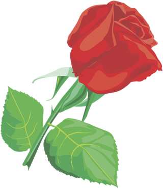 The Secret Garden Chapter 17 - The Secret Garden