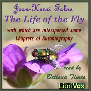 The Life of the Fly, With Which are Interspersed Some Chapters of Autobiography - Jean-Henri FABRE