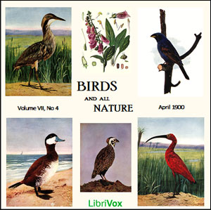 Birds and All Nature, Vol. VII, No 4, April 1900 - Various