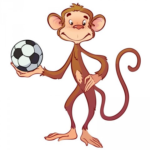 The Monkey Who Saved The Match - Zoo Stories