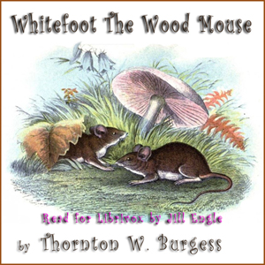 Whitefoot the Wood Mouse - Thornton W. Burgess