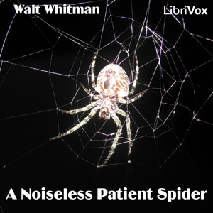 A Noiseless Patient Spider - Walt Whitman