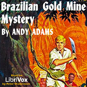 Brazilian Gold Mine Mystery - Andy ADAMS