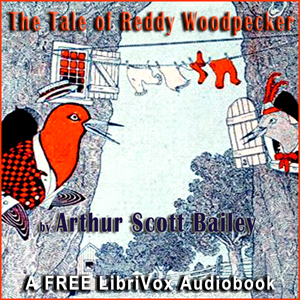 The Tale of Reddy Woodpecker - Arthur Scott Bailey