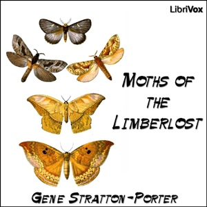 Moths of the Limberlost - Gene STRATTON-PORTER