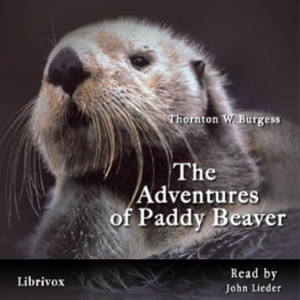 The Adventures of Paddy Beaver - Thornton W. Burgess