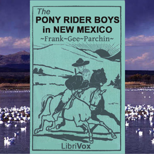 The Pony Rider Boys in New Mexico - Frank Gee Patchin