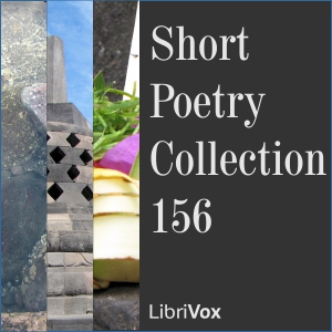 Short Poetry Collection 156 - Various