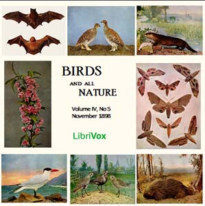 Birds and All Nature, Vol. IV, No 5, November 1898 - Various