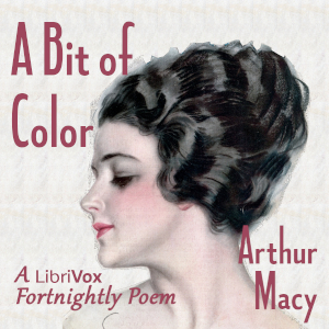 A Bit of Color - Arthur MACY
