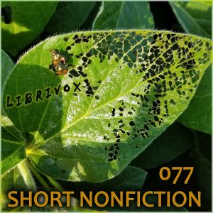 Short Nonfiction Collection, Vol. 077 - Various