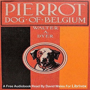 Pierrot, Dog Of Belgium - Walter Alden Dyer